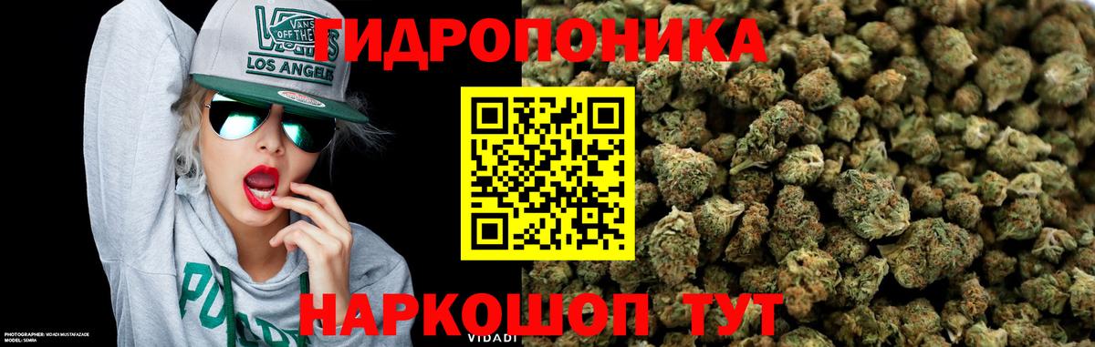 Марихуана марихуана  Канабис Bruce Banner  Вход с VPN  Гатчина  Бошки марихуана LSD WEED 